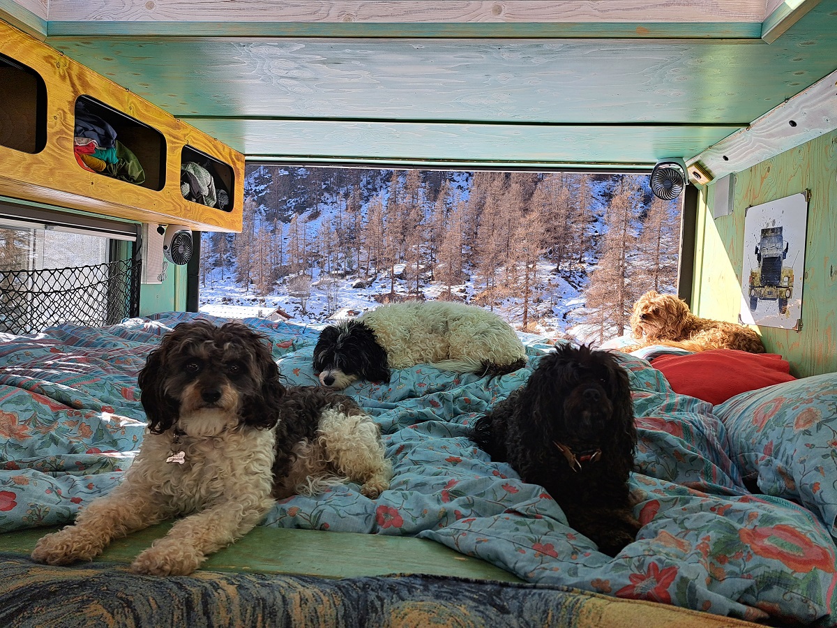 Caravanning With Dogs & Living In A Truck – Brainwave Podcast with Travel Book Writer Jacqueline Lambert