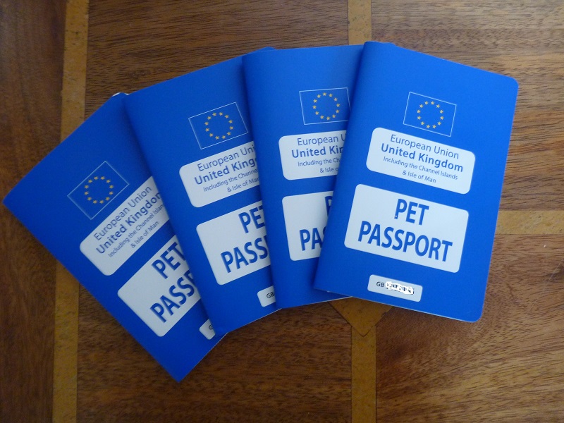 Can I Get My Dog an EU Pet Passport?